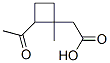 사이클로부탄아세트산,2-아세틸-1-메틸-(9CI) 구조식 이미지