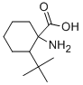 1-AMINO-2-TERT-BUTYLCYCLOHEXANECARBOXYLIC ACID Structure