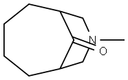 8-메틸-8-아자비시클로[4.3.1]데칸-10-온 구조식 이미지