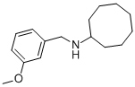 N-CYCLO-OCTHYL-M-METHOXYBENZYLAMINE Structure