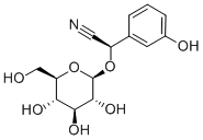 HOLOCALIN Structure