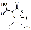 4-Thia-1-azabicyclo[3.2.0]heptane-2-carboxylicacid,6-amino-3,7-dioxo-,(2S,5R,6R)-(9CI) 구조식 이미지