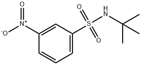 N-T-BUTYL 3-NITROBENZENESULFONAMIDE Structure