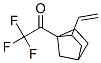 Ethanone, 1-(2-ethenylbicyclo[2.2.1]hept-1-yl)-2,2,2-trifluoro- (9CI) 구조식 이미지