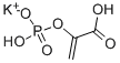 PHOSPHOENOLPYRUVIC ACID MONOPOTASSIUM SALT Structure