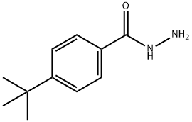 4-трет-Butylbenzhydrazide структурированное изображение