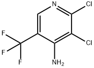 2,3-디클로로-5-(트리플루오로메틸)-4-피리딘아민 구조식 이미지