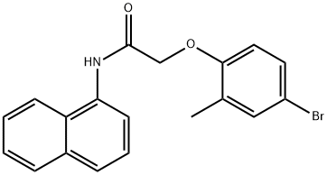 CHEMBRDG-BB 7007286 Structure