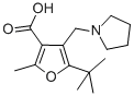 5-TERT-BUTYL-2-METHYL-4-PYRROLIDIN-1-YLMETHYL-FURAN-3-CARBOXYLIC ACID 구조식 이미지