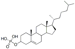 cholesteryl phosphate Structure