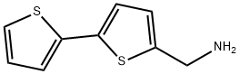 2,2'-BITHIOPHENE-5-METHYLAMINE 구조식 이미지