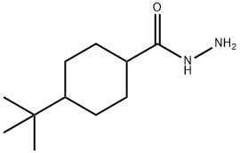 Cyclohexanecarboxylic acid, 4-(1,1-dimethylethyl)-, hydrazide (9CI) Structure
