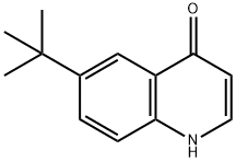 6-tert-Butyl-quinolin-4-ol Structure