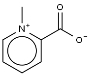 homarine Structure