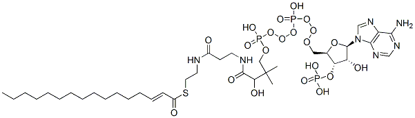 S-[2-[3-[[4-[[[(2R,3S,4R,5R)-5-(6-aminopurin-9-yl)-4-hydroxy-3-phosphonooxyoxolan-2-yl]methoxy-hydroxyphosphoryl]oxy-hydroxyphosphoryl]oxy-2-hydroxy-3,3-dimethylbutanoyl]amino]propanoylamino]ethyl] (E)-hexadec-2-enethioate 구조식 이미지