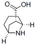 8-Azabicyclo[3.2.1]octane-6-carboxylicacid,(1S,5R,6S)-(9CI) 구조식 이미지