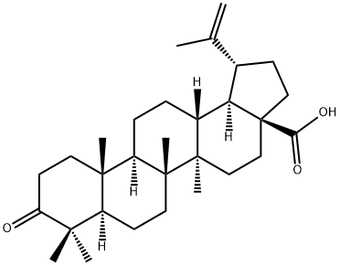 Betulonicacid 구조식 이미지