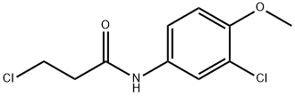 3-CHLORO-N-(3-CHLORO-4-METHOXYPHENYL)PROPANAMIDE Structure