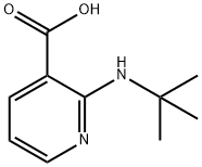 3-Pyridinecarboxylicacid,2-[(1,1-dimethylethyl)amino]-(9CI) Structure