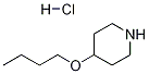 4-BUTOXYPIPERIDINE HYDROCHLORIDE Structure