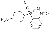 1-(2-NITRO-BENZENESULFONYL)-PIPERIDIN-4-YLAMINE HYDROCHLORIDE Structure