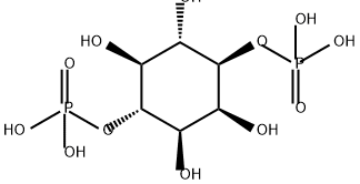 (2,3,5,6-tetrahydroxy-4-phosphonooxy-cyclohexoxy)phosphonic acid Structure