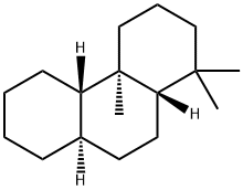 Podocarpane Structure