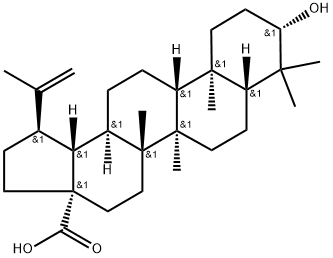 472-15-1 Betulinic acid 
