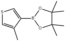 4-메틸티오펜-3-보론산피나콜에스테르 구조식 이미지