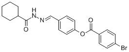 SALOR-INT L240206-1EA Structure