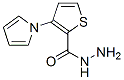 2-Thiophenecarboxylicacid,3-(1H-pyrrol-1-yl)-,hydrazide(9CI) Structure