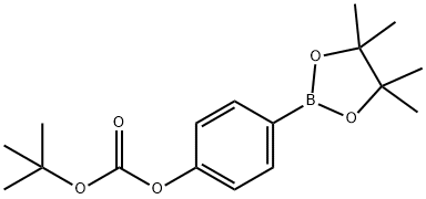 TERT-BUTYL-4-(4,4,5,5-TETRAMETHYL-1,3,2-DIOXABOROLAN-2-YL)PHENYLCARBONATE Structure