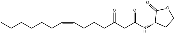 N-3-oxo-tetradec-7(Z)-enoyl-L-Homoserine lactone Structure