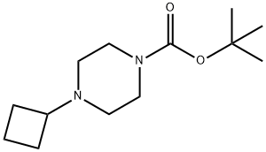 tert-Butyl 4-cyclobutylpiperazine-1-carboxylate 구조식 이미지