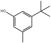 5-tert-butyl-m-cresol Structure