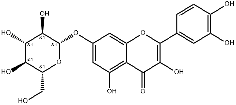 Quercetin-7-O-β-D-glucopyranoside 구조식 이미지