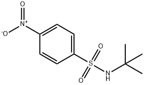 N-tert-Butyl 4-Nitrophenylsulfonamide Structure