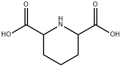 2,6-piperidinedicarboxylic acid 구조식 이미지