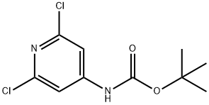501907-61-5 Carbamic acid, (2,6-dichloro-4-pyridinyl)-, 1,1-dimethylethyl ester (9CI)