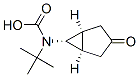 Carbamic acid, [(1alpha,5alpha,6alpha)-3-oxobicyclo[3.1.0]hex-6-yl]-, 1,1-dimethylethyl 구조식 이미지