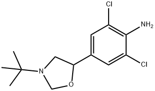 CYCLO-CLENBUTEROL Structure