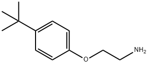 2-(4-TERT-BUTYLPHENOXY)ETHANAMINE HYDROCHLORIDE Structure