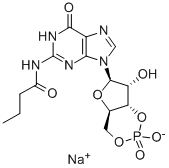 N2-모노부티릴과노신3':5'-사이클릭모노포스페이트나트륨염 구조식 이미지