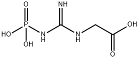 2-[[amino-(phosphonoamino)methylidene]amino]acetic acid Structure