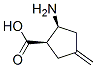 (1R,2S)-2-amino-4-methylidene-cyclopentane-1-carboxylic acid Structure