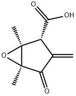 methylenomycin A Structure