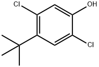 2,5-DICHLORO-4-TERT-BUTYLPHENOL Structure