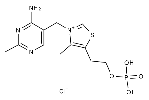 THIAMINE MONOPHOSPHATE CHLORIDE Structure