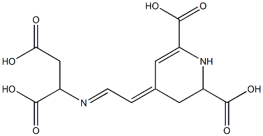 1,2,3,4-Tetrahydro-4-[2-[(1,2-dicarboxyethyl)imino]ethylidene]pyridine-2,6-dicarboxylic acid Structure