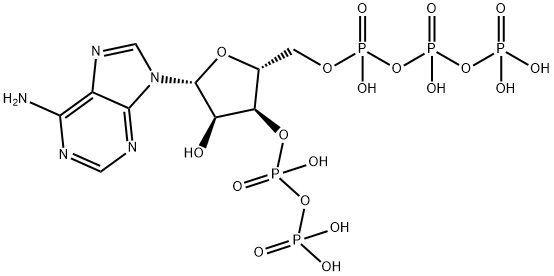 adenosine 5'-triphosphate 3'-diphosphate Structure